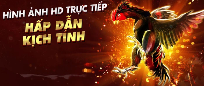 Trực tiếp đá gà thomo, dagaC1, dagaC3, daga88, đá gà campuchia 2 đà gà trực tiếp s8